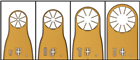 MicroGrippers? 蛋白晶體撈取和安裝工具